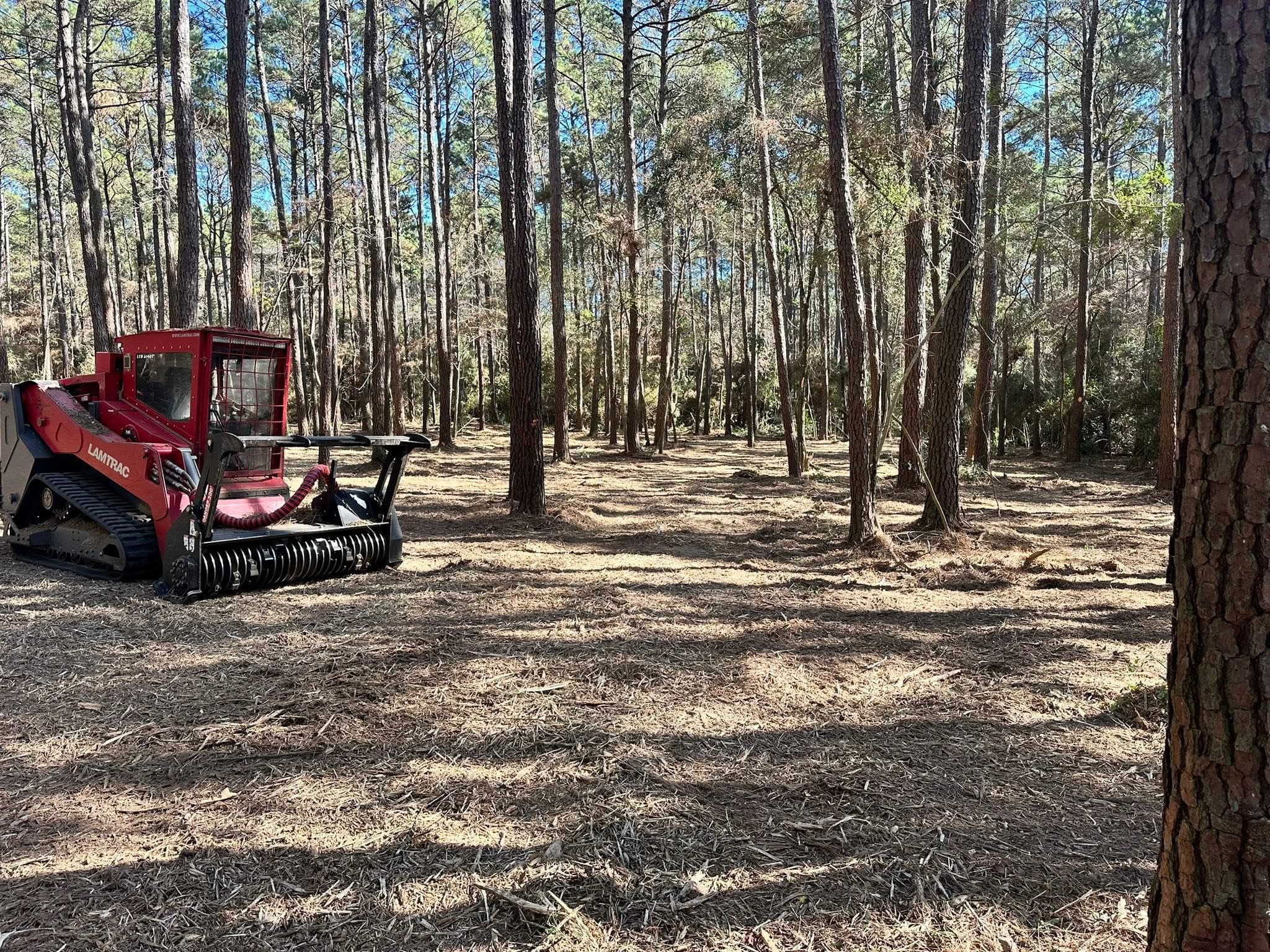Hydro-axe forestry mulcher masticating underbrush in Magnolia, TX (Montgomery County)