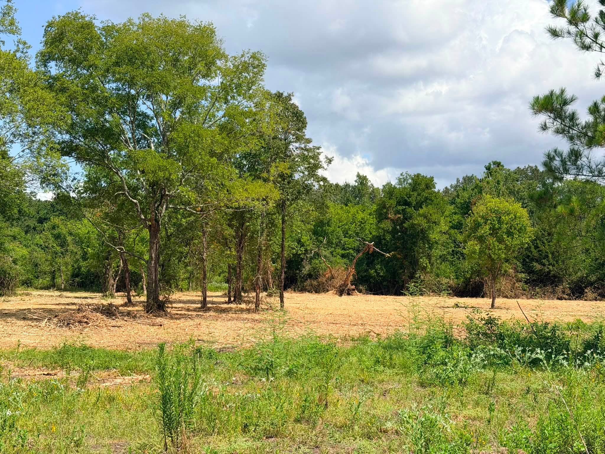 Cleared, ready-to-build lot after land clearing service in Coldspring, TX (San Jacinto County)