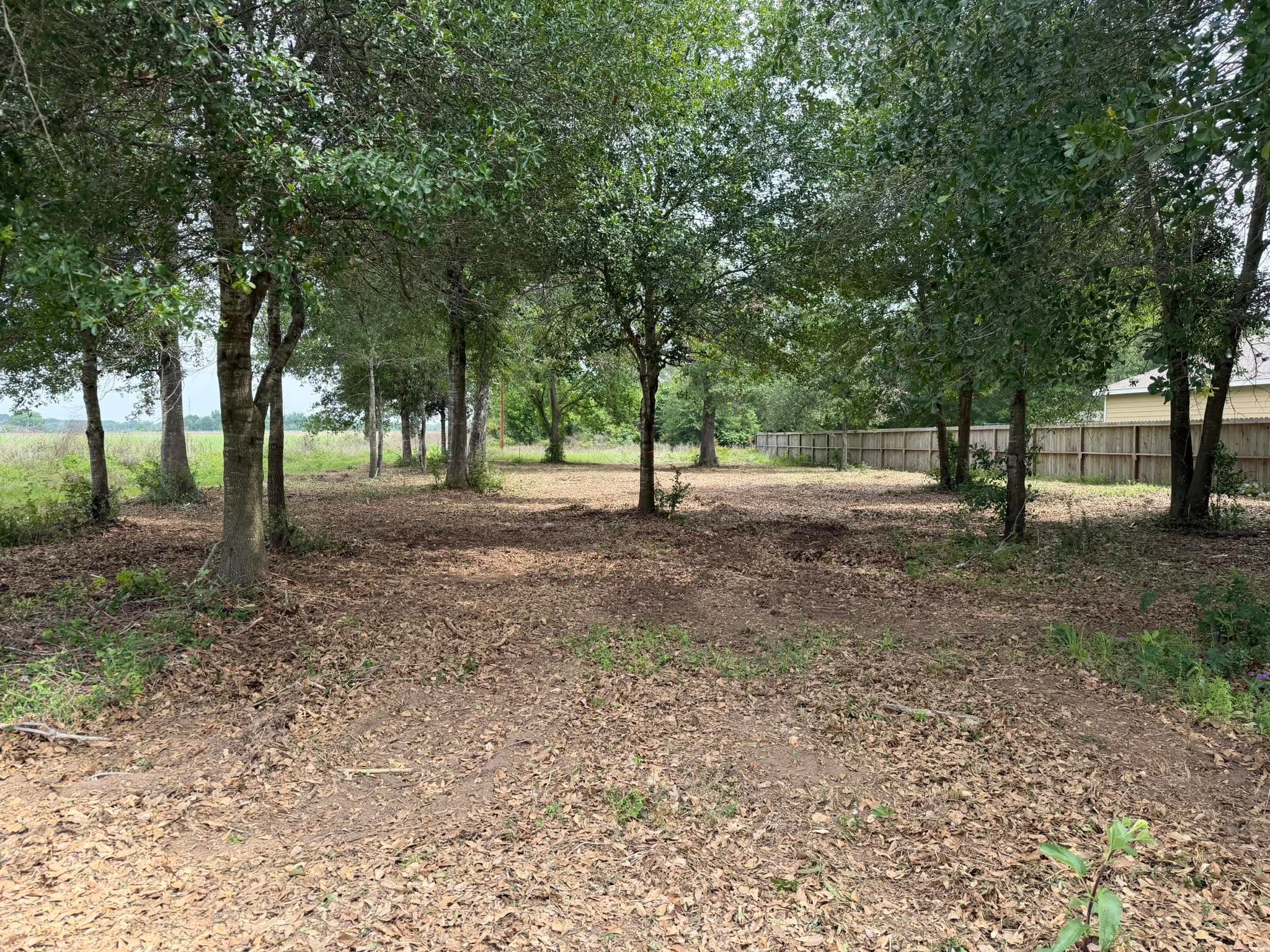 Cleared, mulched wooded lot along a backyard fence line after line clearing in Prairie View, TX (Waller County)