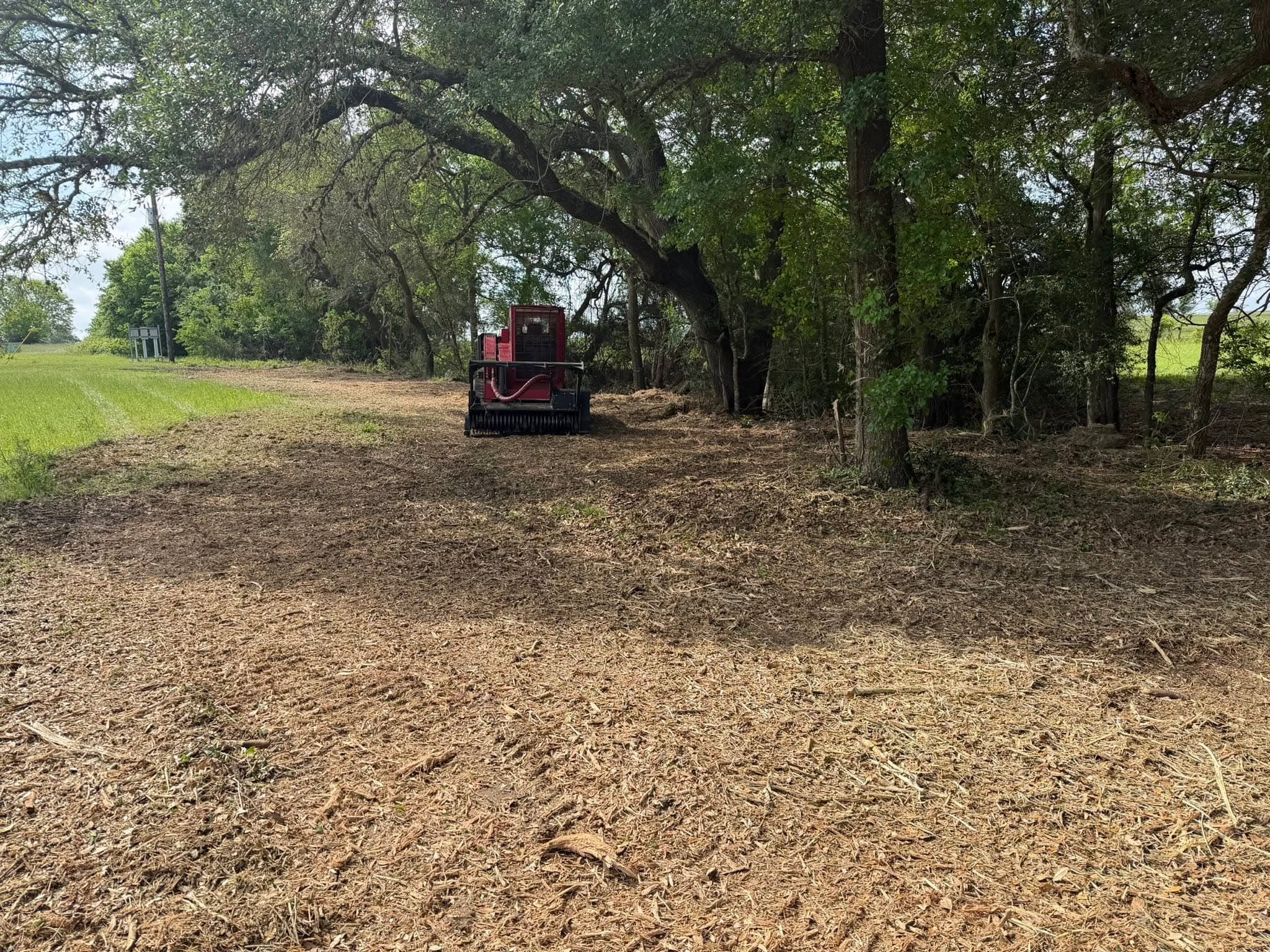 Forestry mulcher clearing a driveway path through wooded land during site prep in Brenham, TX (Washington County)