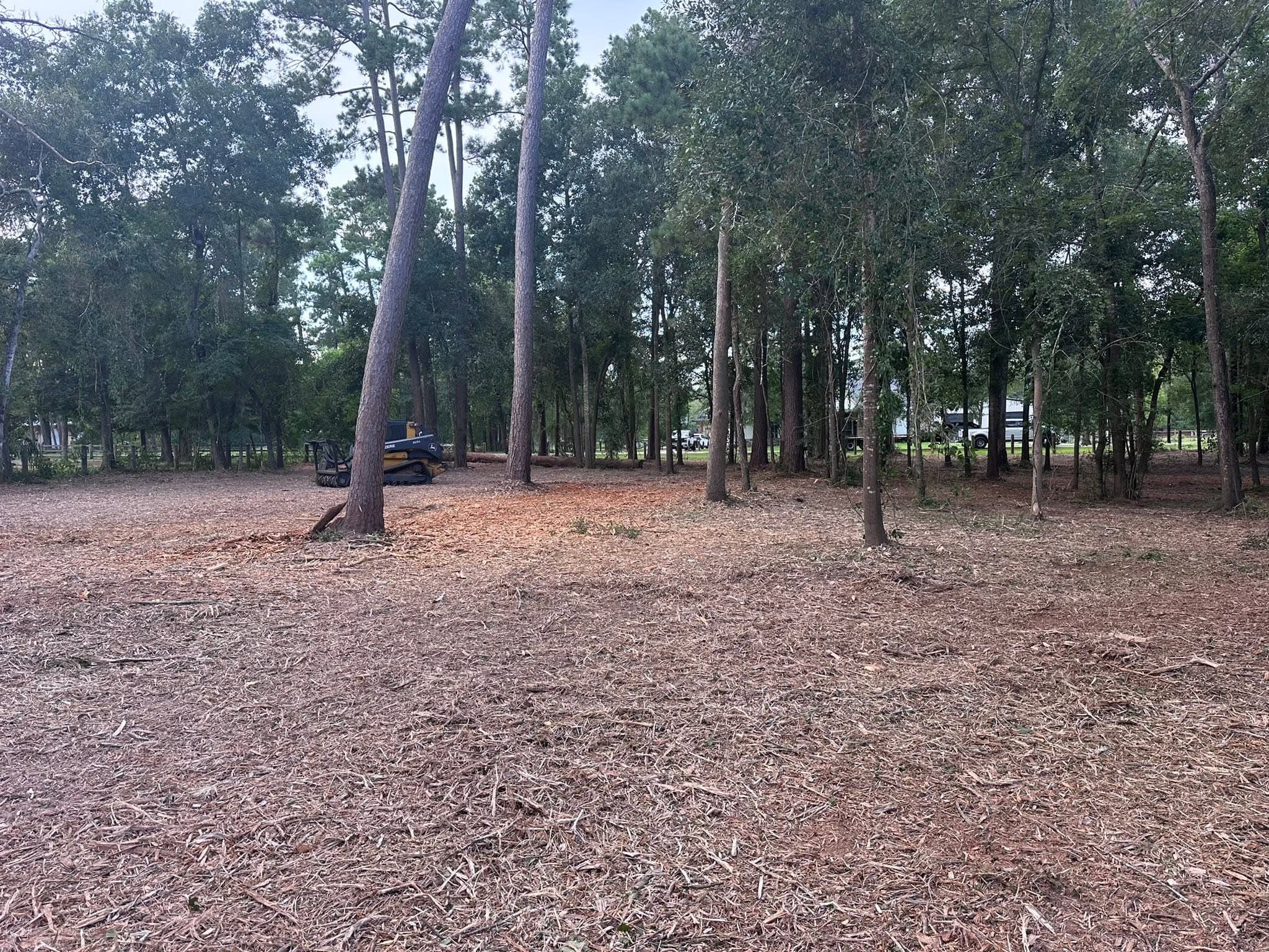 Cleared lot with Lamtrac mulcher after forestry mulching