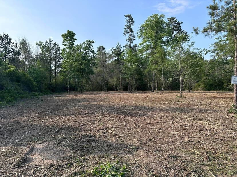 Cleared open field after property clearing